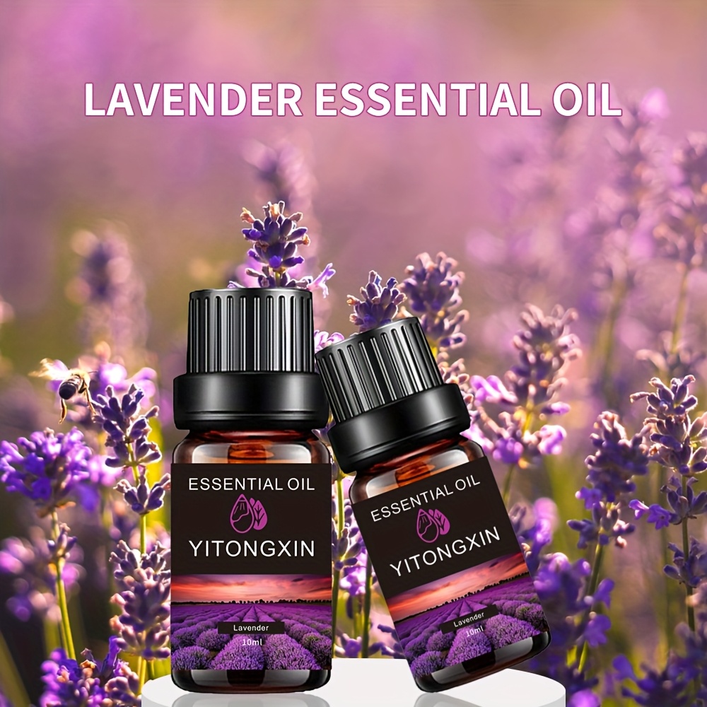 3 Buah Minyak Esensial Tanaman - Lavender Oil ulasan dan harga