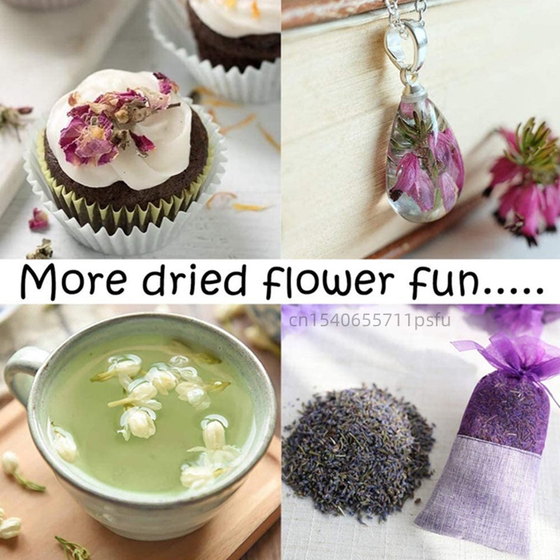 Bunga Melati Kering Alami Berk - Chamomile Tea ulasan dan harga